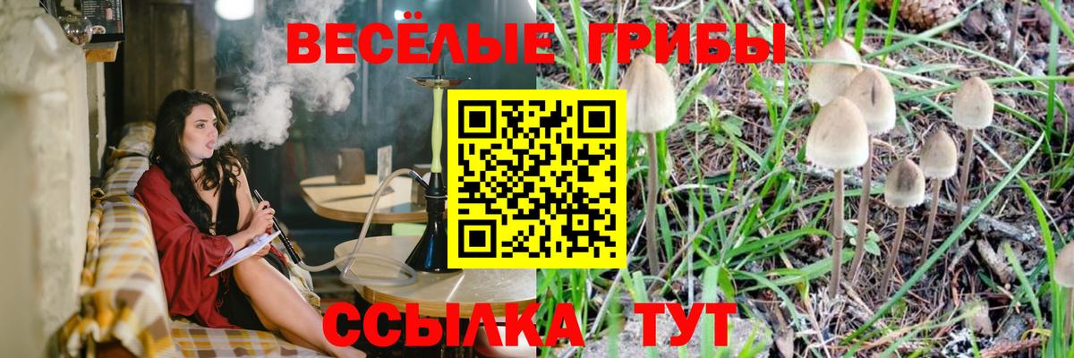 Сочи  Галлюциногенные грибы Cubensis  цены   Вход с VPN  Псилоцибиновые грибы прущие грибы 